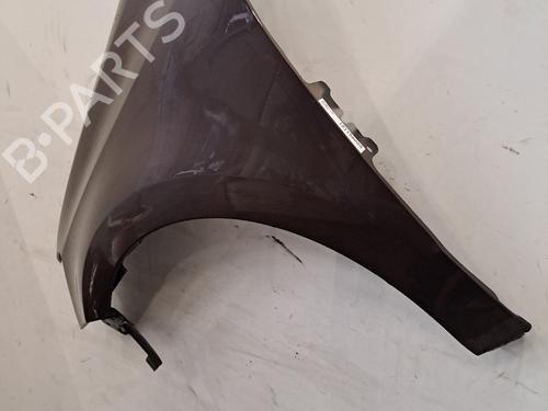 Left front fenders VW POLO V (6R1, 6C1) 1.2 | BP32393585C41