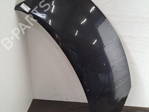 hood-renault-twingo-ii-cn0_-2007-32495539 main image