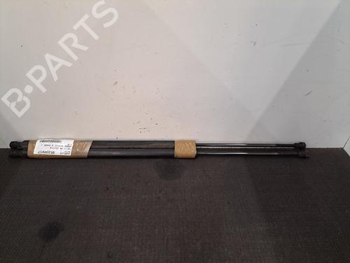 Used Tailgate lift support RENAULT GRAND SCÉNIC III (JZ0/1_) 1.9 dCi (JZ0J, JZ0N, JZ1K, JZ1S) (131 hp) 28403858