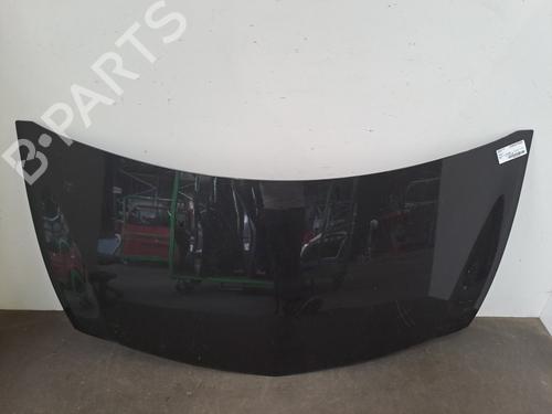 Used Hood RENAULT CLIO III (BR0/1, CR0/1) 1.2 16V (BR02, BR0J, BR11, CR02, CR0J, CR11) (75 hp) 28403210