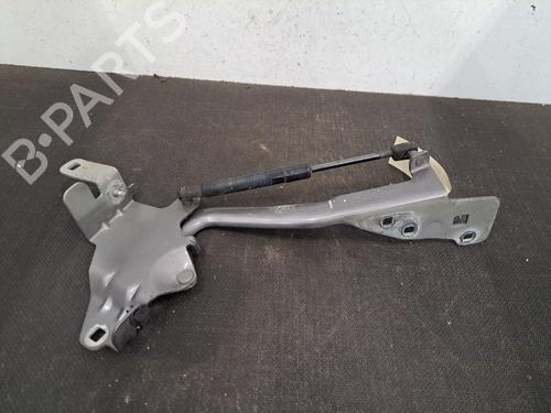 Hinge/Door check strap RENAULT SCÉNIC III (JZ0/1_) 1.6 dCi (JZ00, JZ12) | BP29146995C146 