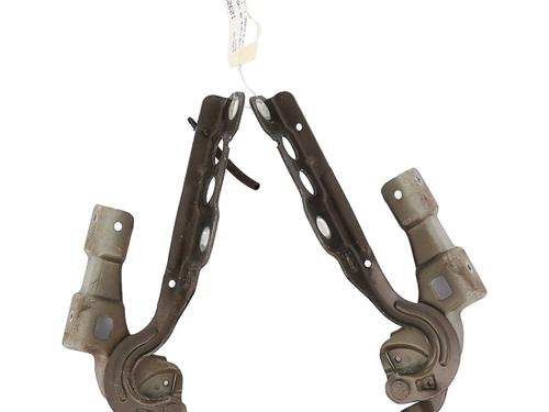 hingedoor-check-strap-citroen-c4-ii-nc_-2009-36395368 main image