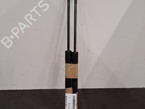 Tailgate lift support RENAULT ZOE (BFM_) ZOE | BP28407604C138