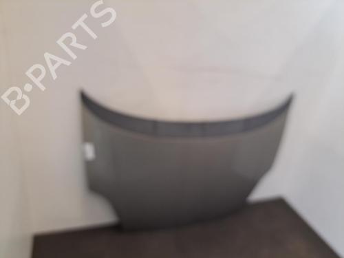 Used Hood FIAT GRANDE PUNTO (199_) 1.3 D Multijet (75 hp) 28396902