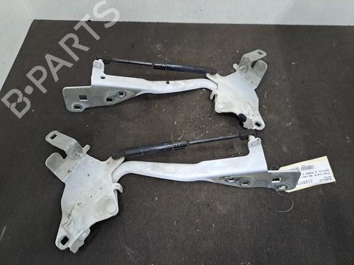 Hinge/Door check strap RENAULT SCÉNIC III (JZ0/1_) 1.5 dCi | BP29983084C146 