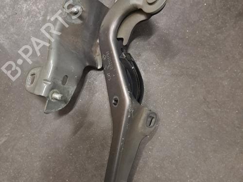 Hinge/Door check strap RENAULT LAGUNA III (BT0/1) 2.0 dCi (BT01, BT08, BT09, BT0E, BT0K, BT12, BT1C, BT1D,... | BP28390158C146 