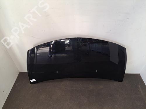 Hood RENAULT CLIO III (BR0/1, CR0/1) 1.2 16V Hi-Flex (BR1U, CR1U) | BP28396733C1 