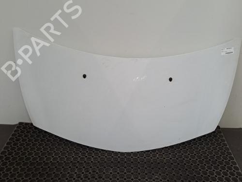 Used Hood RENAULT CLIO III (BR0/1, CR0/1) 1.5 dCi (C/BR0G, C/BR1G) (68 hp) 28398838