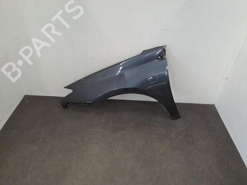 Left front fenders RENAULT LAGUNA III (BT0/1) 2.0 dCi (BT0M, BT0N, BT0S, BT19, BT1F) | BP28390832C41