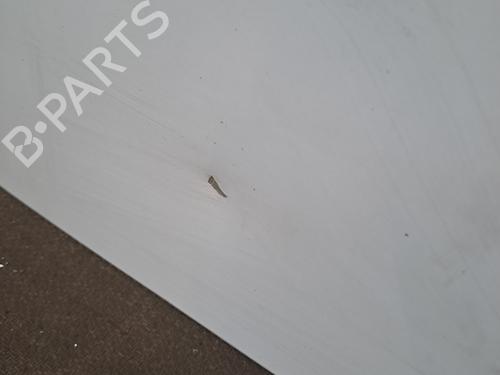 Left tailgate PEUGEOT EXPERT (224_) 2.0 HDI 16V | BP28391899C76 