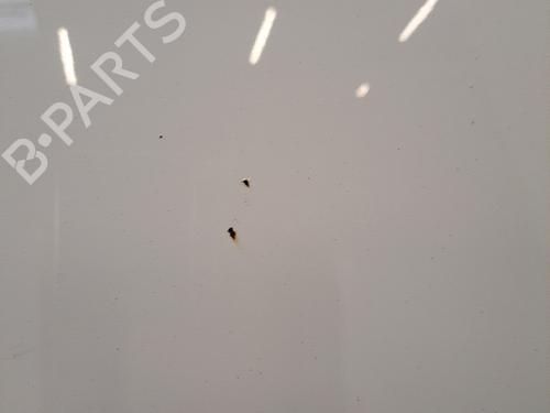 Hood SEAT ALTEA (5P1) 1.9 TDI | BP28407942C1 