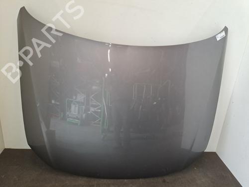 Used Hood VW PASSAT B6 (3C2) 1.9 TDI (105 hp) 28410054