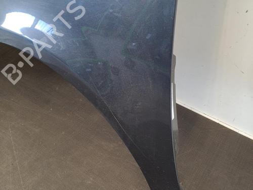 Left front fenders RENAULT VEL SATIS (BJ0_) 2.2 dCi (BJ0E, BJ0F, BJ0G, BJ0H) | BP28391371C41 