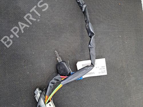 Ignition barrel PEUGEOT 206+ (2L_, 2M_) 1.4 HDi eco 70 | BP29501706M48 