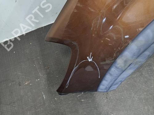 Left front fenders DACIA SANDERO 1.5 dCi | BP28396619C41 