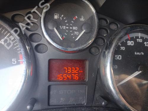 Display monitor PEUGEOT 206+ (2L_, 2M_) 1.4 HDi eco 70 | BP29501707C48 