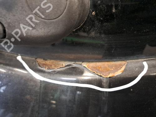 Tailgate RENAULT CLIO III (BR0/1, CR0/1) 1.5 dCi (C/BR0G, C/BR1G) | BP28392378C6