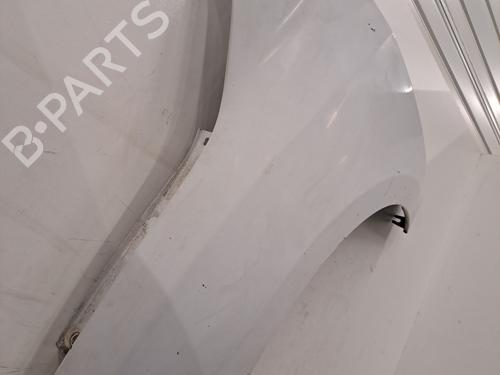 Left front fenders RENAULT MEGANE III Hatchback (BZ0/1_, B3_) 1.5 dCi (BZ0C) | BP31572569C41