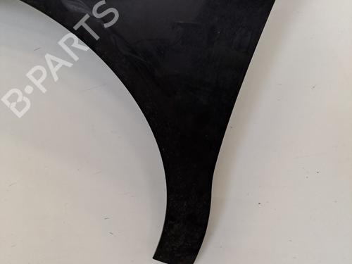 Left front fenders CITROËN C4 II (NC_) 1.6 HDi 110 | BP28395687C41 