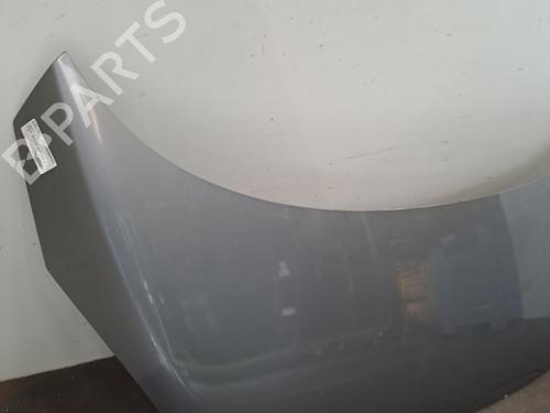 Hood RENAULT SCÉNIC III (JZ0/1_) 1.6 dCi (JZ00, JZ12) | BP29072223C1 