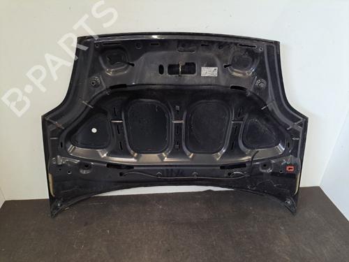 Hood FIAT GRANDE PUNTO (199_) 1.3 D Multijet | BP28393187C1