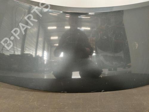 Used Hood RENAULT SCÉNIC II (JM0/1_) 1.9 dCi (JM0G, JM12, JM1G, JM2C) (120 hp) 28393574
