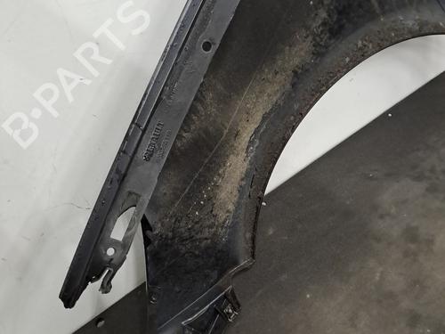 Left front fenders RENAULT CLIO III (BR0/1, CR0/1) 1.2 16V (BR02, BR0J, BR11, CR02, CR0J, CR11) | BP32317949C41 