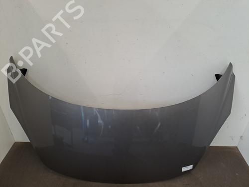 Used Hood RENAULT SCÉNIC III (JZ0/1_) 1.5 dCi (110 hp) 28810132