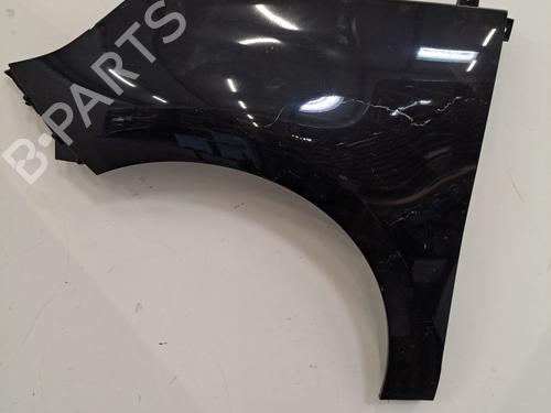 Left front fenders RENAULT SCÉNIC III (JZ0/1_) 1.6 dCi (JZ00, JZ12) | BP28400797C41 