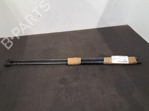 Used Tailgate lift support RENAULT MEGANE III Coupe (DZ0/1_) 1.5 dCi (DZ09, DZ0D, DZ1F, DZ1G, DZ14, DZ29) (110 hp) 28409484