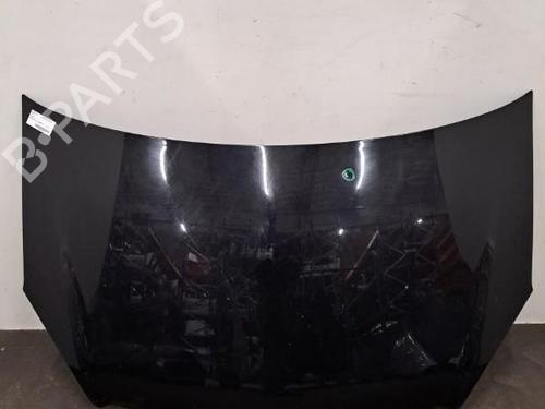 Used Hood OPEL ZAFIRA / ZAFIRA FAMILY B (A05) 1.9 CDTI (M75) (120 hp) 28396374