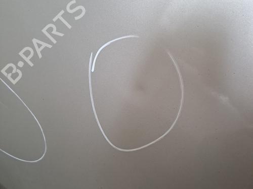Right front door RENAULT MEGANE II Coupé-Cabriolet (EM0/1_) 1.9 dCi | BP28389865C3 