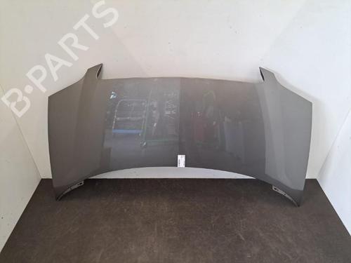 Hood LANCIA PHEDRA (179_) 2.0 JTD (179.AXE1A) | BP28404731C1 