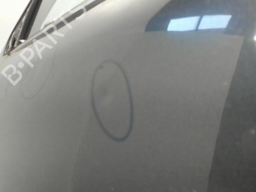 Used Left front door SKODA OCTAVIA II (1Z3) 1.9 TDI (105 hp) 28399561