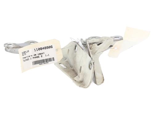 hingedoor-check-strap-renault-twingo-ii-cn0_-2007-32062144 main image