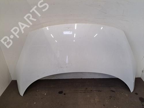 Used Hood RENAULT SCÉNIC III (JZ0/1_) 1.5 dCi (JZ02, JZ0R) (95 hp) 29749260
