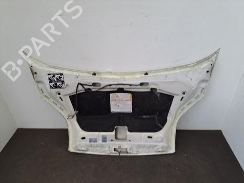 Hood CITROËN NEMO Box Body/MPV (AA_) 1.4 HDi | BP28392996C1 