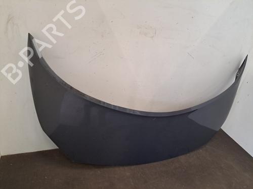 Hood RENAULT SCÉNIC II (JM0/1_) 1.6 16V (JM1R) | BP28398285C1