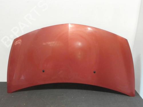 Used Hood RENAULT CLIO III (BR0/1, CR0/1) 1.5 dCi (C/BR0G, C/BR1G) (68 hp) 28394362