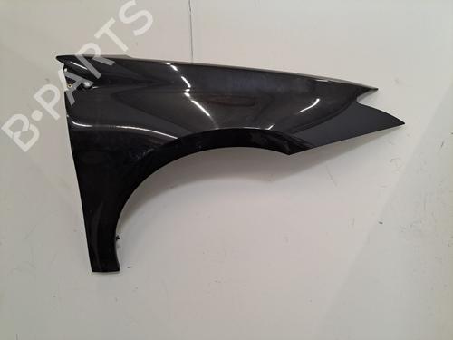 Right front fenders RENAULT LAGUNA III (BT0/1) 1.5 dCi (BT00, BT0A, BT0T, BT1J) | BP28395374C42