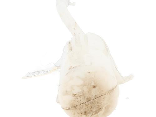 windscreen-washer-tank-fiat-tipo-hatchback-356_-357_-2016-31769763 main image