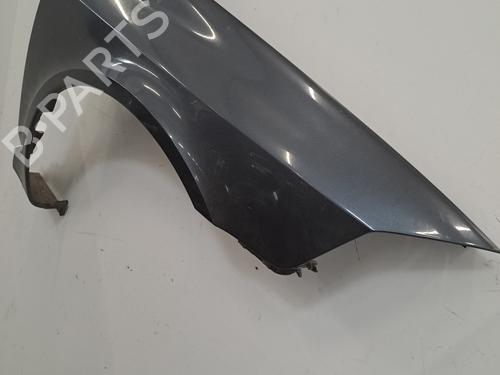 Right front fenders RENAULT LAGUNA II (BG0/1_) 1.9 dCi (BG1A, BG1W, BG0G) | BP29499010C42 