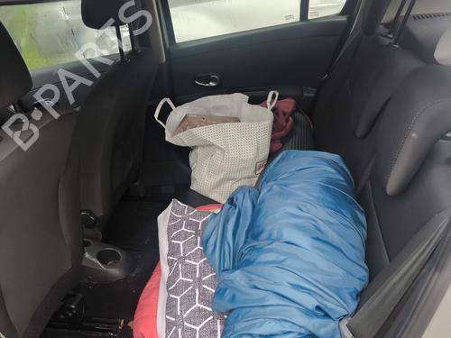 Left front fenders RENAULT CLIO III (BR0/1, CR0/1) 1.5 dCi (BR17, CR17) | BP30391804C41