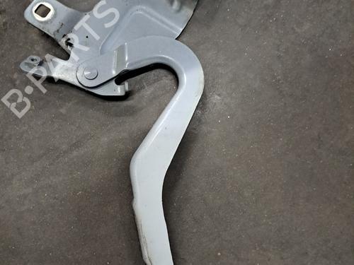 Hinge/Door check strap RENAULT CLIO IV (BH_) 1.5 dCi 75 | BP28395726C146