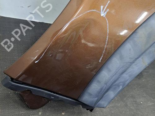 Left front fenders DACIA SANDERO 1.5 dCi | BP28396619C41 