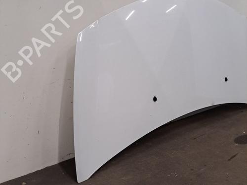 Hood RENAULT CLIO III (BR0/1, CR0/1) 1.5 dCi (C/BR0G, C/BR1G) | BP29499014C1 
