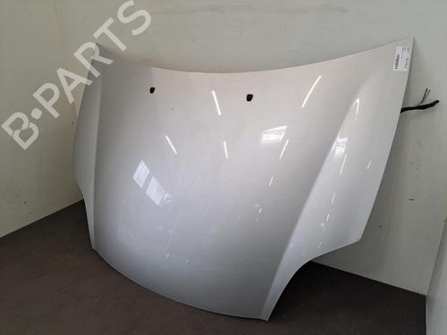 Capot Capot FIAT BRAVO II (198_) 1.9 D Multijet (198AXE1A) (90 hp) 28402579 28402579