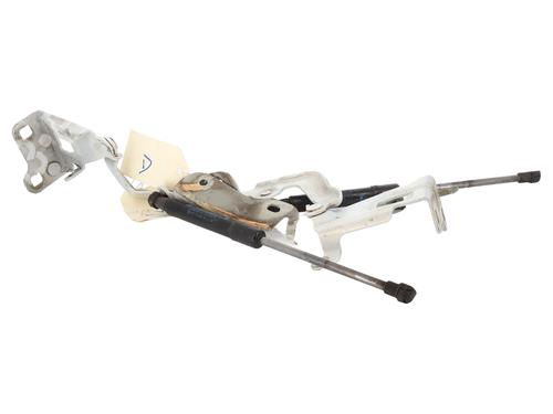 Hinge/Door check strap RENAULT TRAFIC III Van (FG_) 1.6 dCi 115 (FGMD) | BP31074292C146