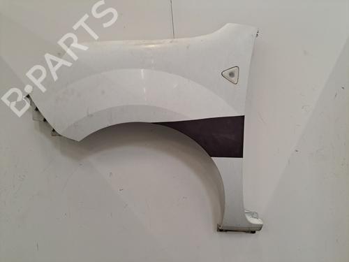 Used Left front fenders RENAULT KANGOO / GRAND KANGOO II (KW0/1_) 1.5 dCi 90 (KW05, KW08, KW0G, KW11) (90 hp) 28406777