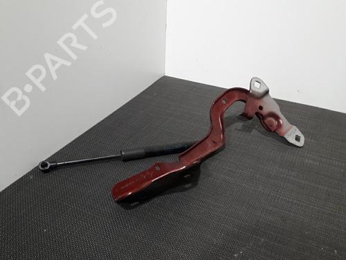 Used Hinge/Door check strap RENAULT SCÉNIC IV (J9_) 1.5 dCi 110 (110 hp) 28410798